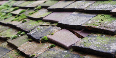 Ellon roof repair costs